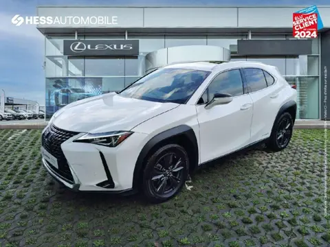 Annonce LEXUS UX  2022 d'occasion 