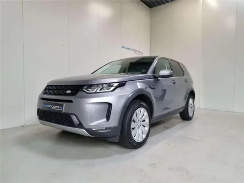 Used LAND ROVER DISCOVERY Diesel 2019 Ad Belgium