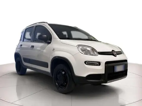 Used FIAT PANDA Petrol 2021 Ad 