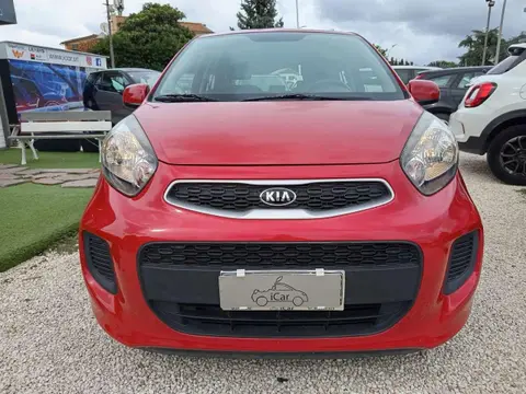 Annonce KIA PICANTO GPL 2016 d'occasion 