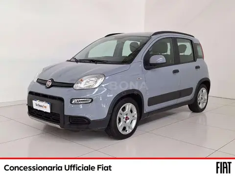 Annonce FIAT PANDA Hybride 2022 d'occasion 