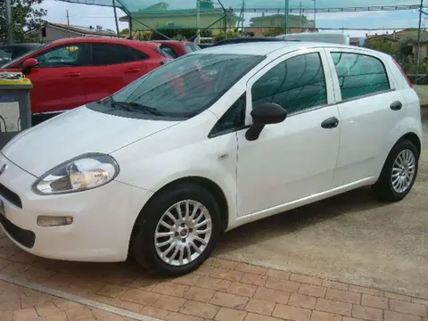 Used FIAT PUNTO Diesel 2018 Ad 