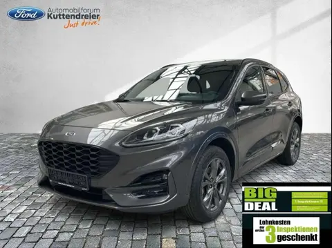 Used FORD KUGA Hybrid 2021 Ad 