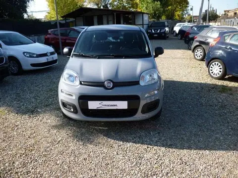 Annonce FIAT PANDA Essence 2017 d'occasion 