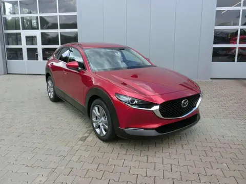 Used MAZDA CX-30 Petrol 2020 Ad 