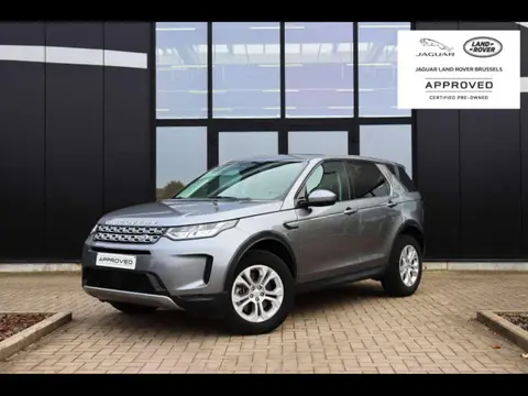 Used LAND ROVER DISCOVERY Diesel 2022 Ad 