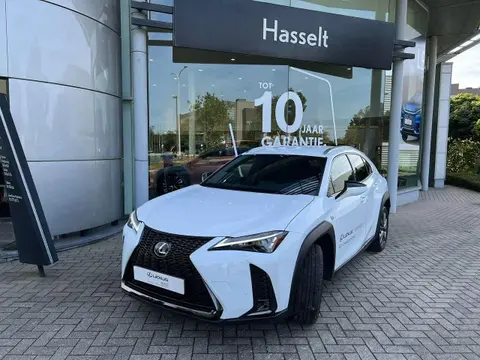 Annonce LEXUS UX Essence 2023 d'occasion 