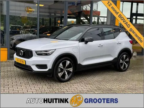 Used VOLVO XC40 Hybrid 2021 Ad 