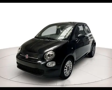 Used FIAT 500 Petrol 2023 Ad 