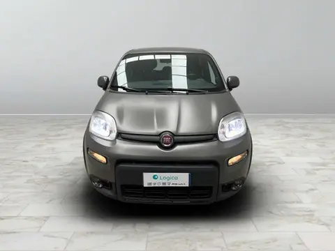 Used FIAT PANDA Hybrid 2020 Ad 