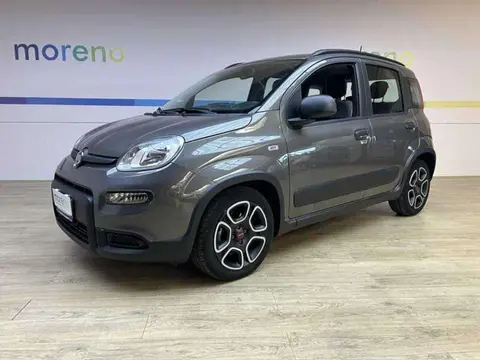 Used FIAT PANDA Hybrid 2021 Ad 