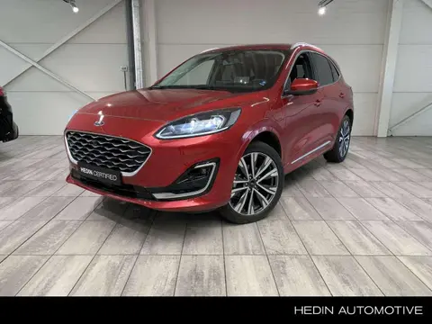 Annonce FORD KUGA Hybride 2023 d'occasion 