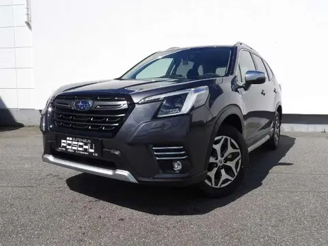 Annonce SUBARU FORESTER Hybride 2024 d'occasion 