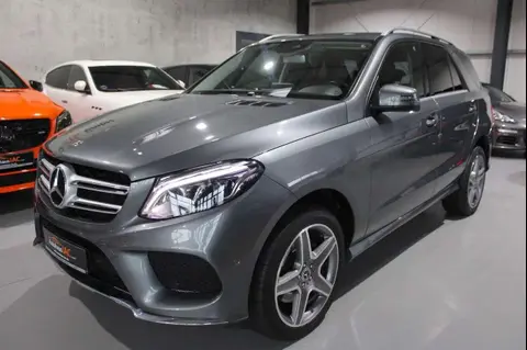 Annonce MERCEDES-BENZ CLASSE GLE Diesel 2019 d'occasion 