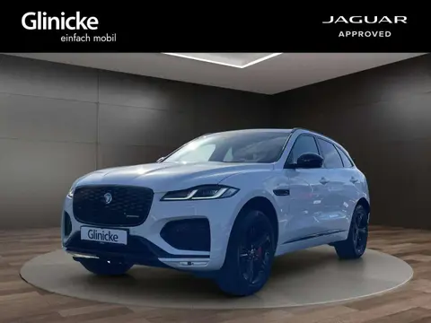 Used JAGUAR F-PACE Hybrid 2023 Ad 