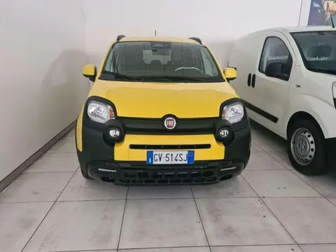 Used FIAT PANDA Hybrid 2024 Ad 