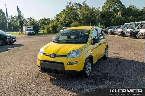 Annonce FIAT PANDA Hybride 2024 d'occasion 