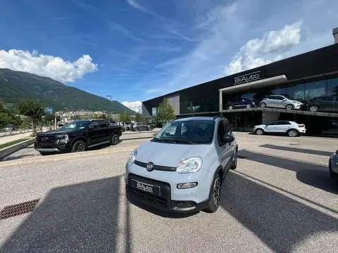 Used FIAT PANDA Hybrid 2022 Ad 