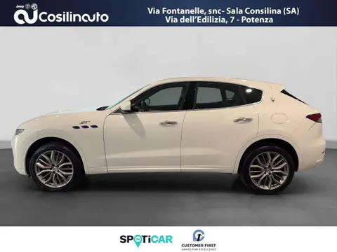 Used MASERATI LEVANTE Hybrid 2022 Ad 