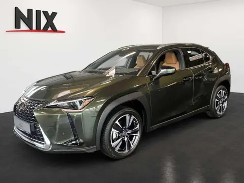 Annonce LEXUS UX Hybride 2024 d'occasion 