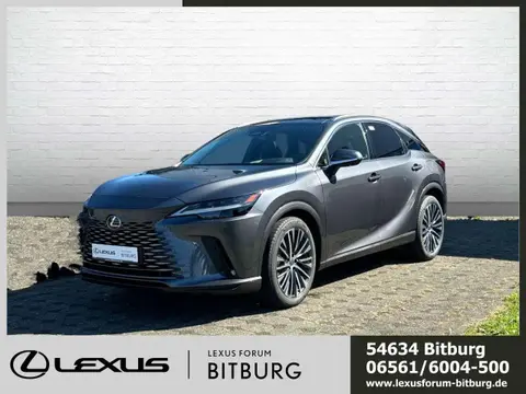 Annonce LEXUS RX Hybride 2024 d'occasion 