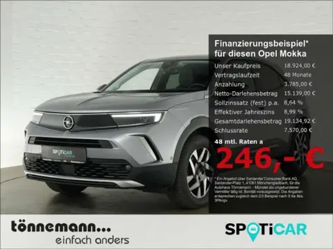 Used OPEL MOKKA Petrol 2023 Ad 