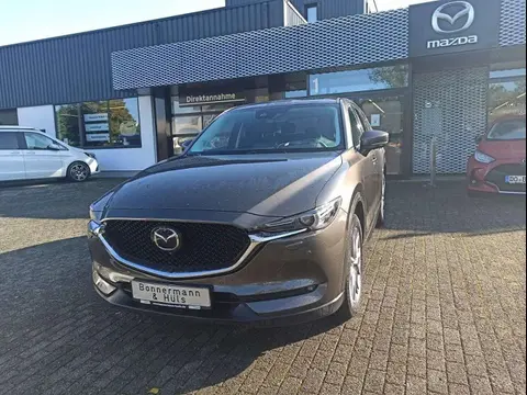 Annonce MAZDA CX-5 Essence 2019 d'occasion 