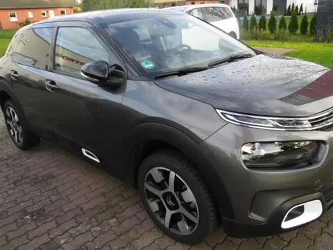 Annonce CITROEN C4 Essence 2019 d'occasion 