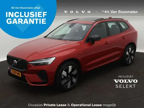 Annonce VOLVO XC60 Hybride 2024 d'occasion 