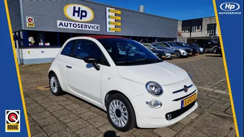 Annonce FIAT 500 Hybride 2021 d'occasion 