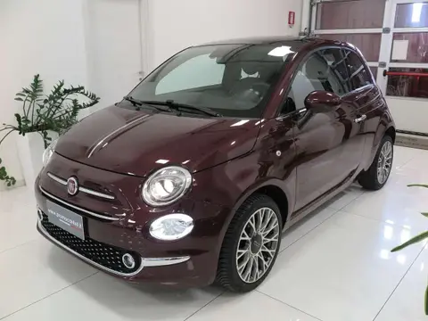 Used FIAT 500 Petrol 2020 Ad 