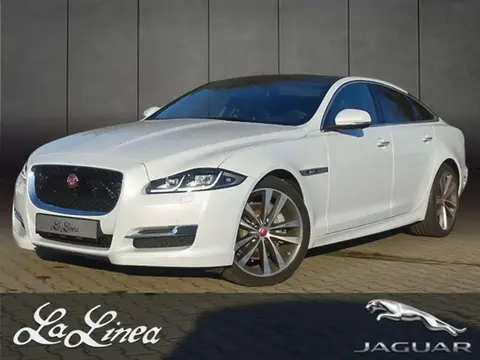 Annonce JAGUAR XJ Essence 2018 d'occasion 