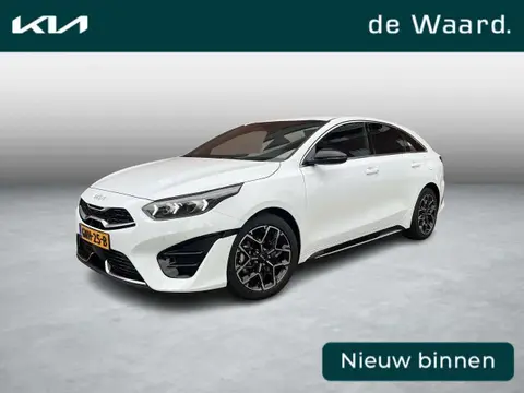 Annonce KIA PROCEED Essence 2024 d'occasion 