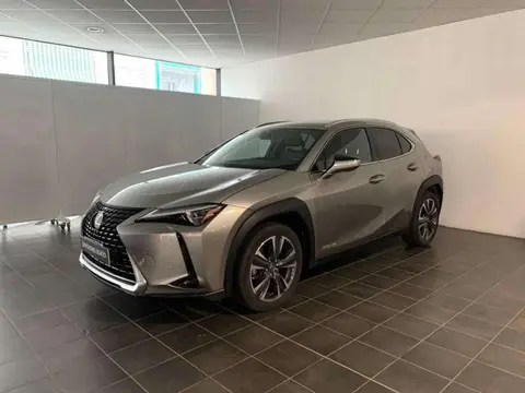 Used LEXUS UX Hybrid 2019 Ad 