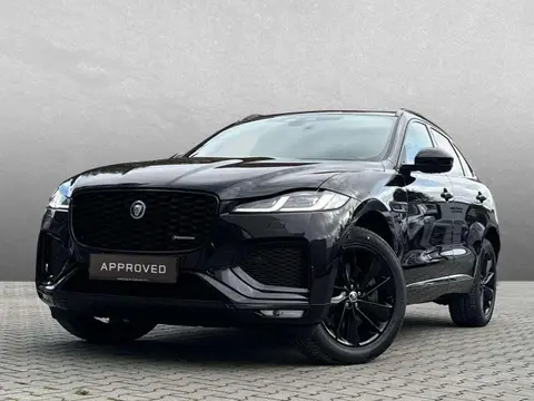 Used JAGUAR F-PACE Diesel 2024 Ad 