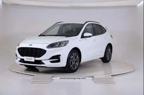 Used FORD KUGA Diesel 2020 Ad 