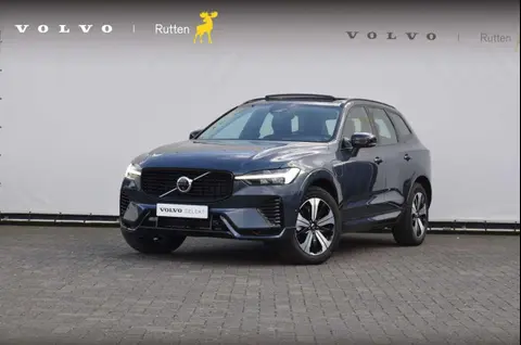 Annonce VOLVO XC60 Hybride 2024 d'occasion 