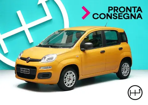 Annonce FIAT PANDA Essence 2020 d'occasion 