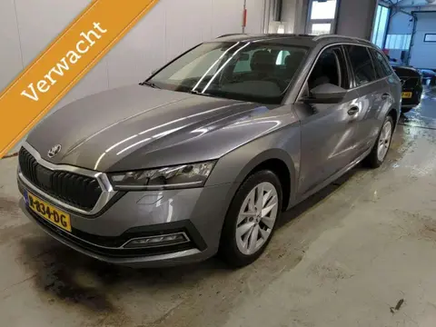 Used SKODA OCTAVIA Petrol 2022 Ad 