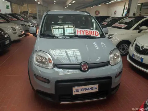 Used FIAT PANDA Hybrid 2022 Ad 