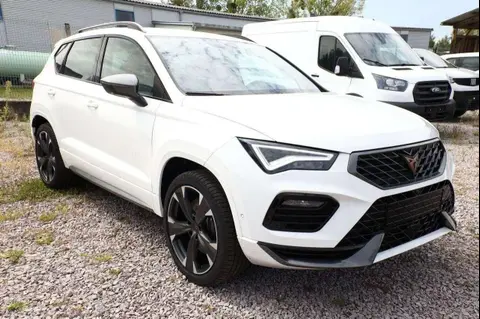 Used CUPRA ATECA Petrol 2024 Ad 