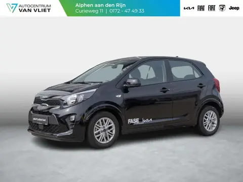 Used KIA PICANTO Petrol 2023 Ad 