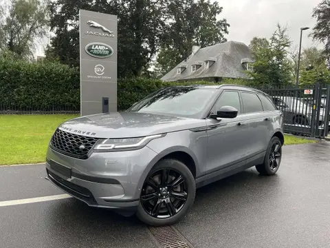 Used LAND ROVER RANGE ROVER VELAR Hybrid 2021 Ad 