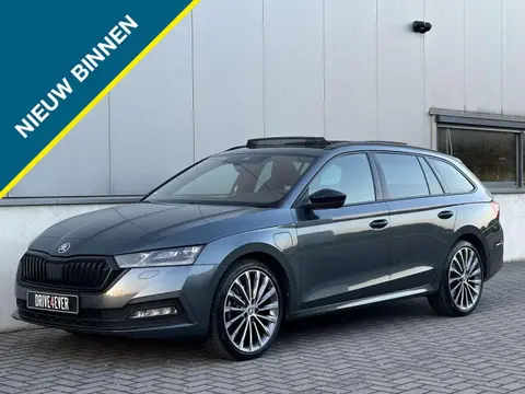 Used SKODA OCTAVIA Hybrid 2021 Ad 