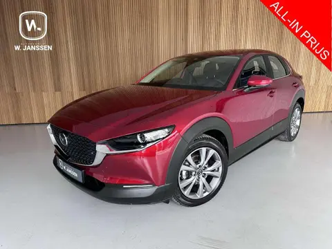 Annonce MAZDA CX-30 Hybride 2020 d'occasion 