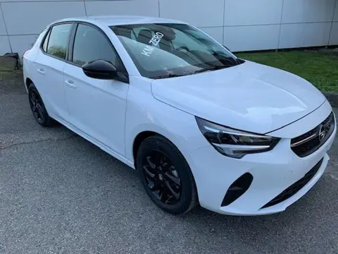 Annonce OPEL CORSA Essence 2023 d'occasion 