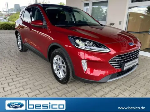 Used FORD KUGA Diesel 2020 Ad 