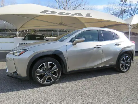 Used LEXUS UX Hybrid 2019 Ad 