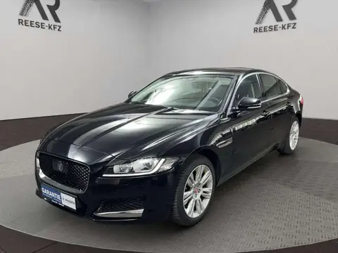 Annonce JAGUAR XF Diesel 2020 d'occasion 