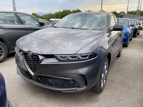 Used ALFA ROMEO TONALE Hybrid 2023 Ad 